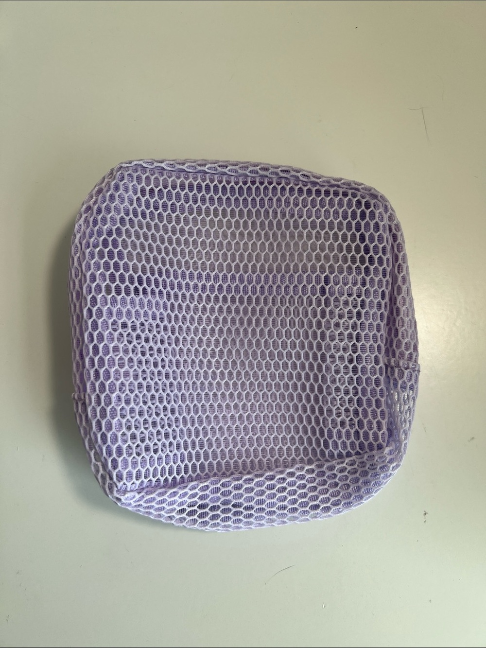 Purple Transparent Mesh Pouch - Picture 3 of 5